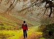 Take a Hike - European Walking Holidays